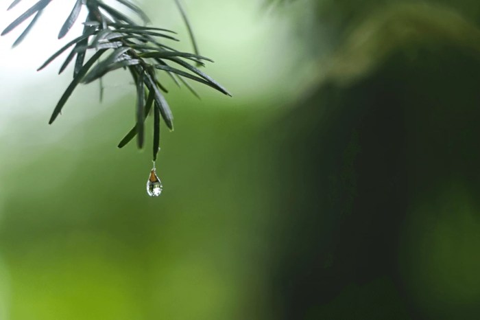 6 Strategies to Improve Meditation Concentration