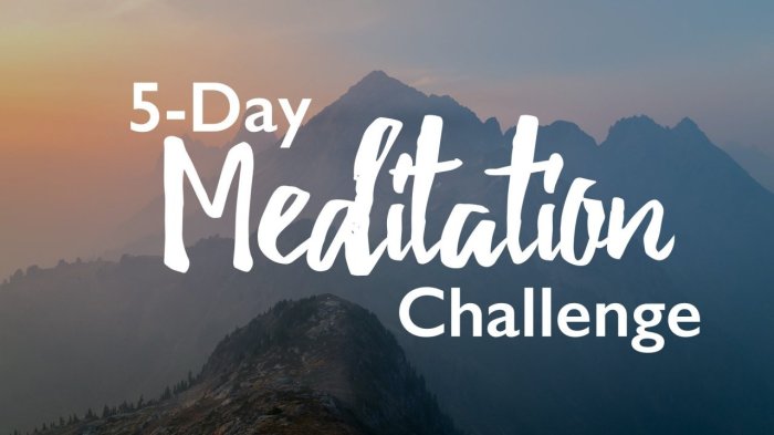 20-Day Meditation Program for Personal Growth