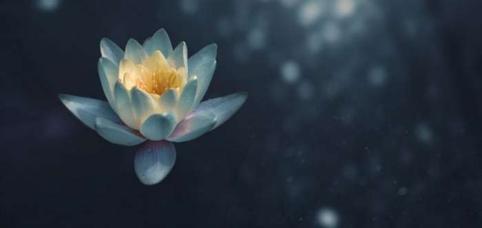 3 Visualization Techniques to Calm Your Mind