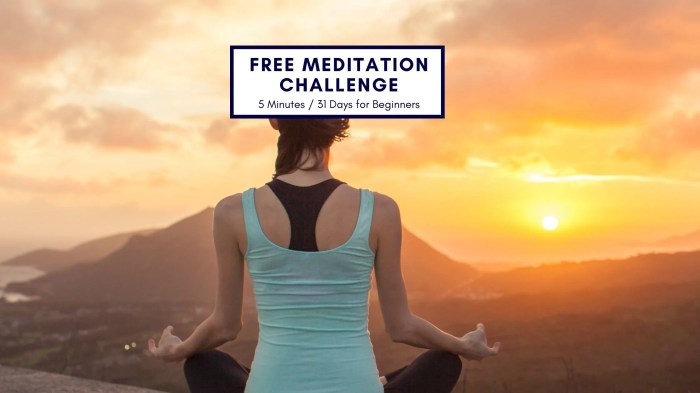 20-Day Meditation Challenge for Beginners