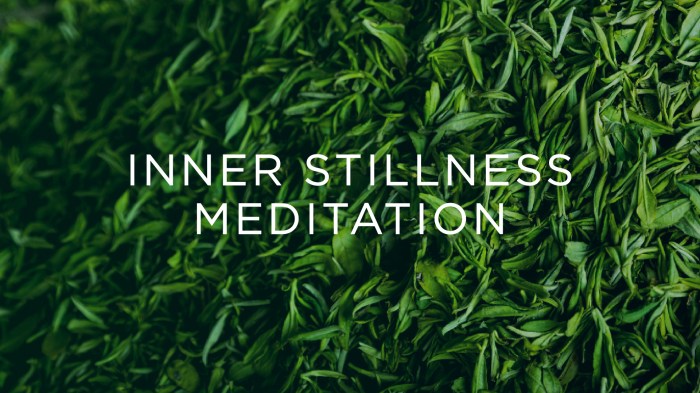 Stillness inner meditation still change why will world physical leads aboutmeditation